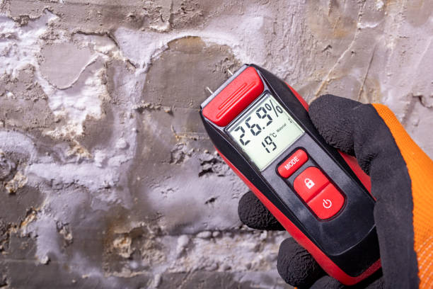Best Crawl Space Mold Remediation in Alice, TX